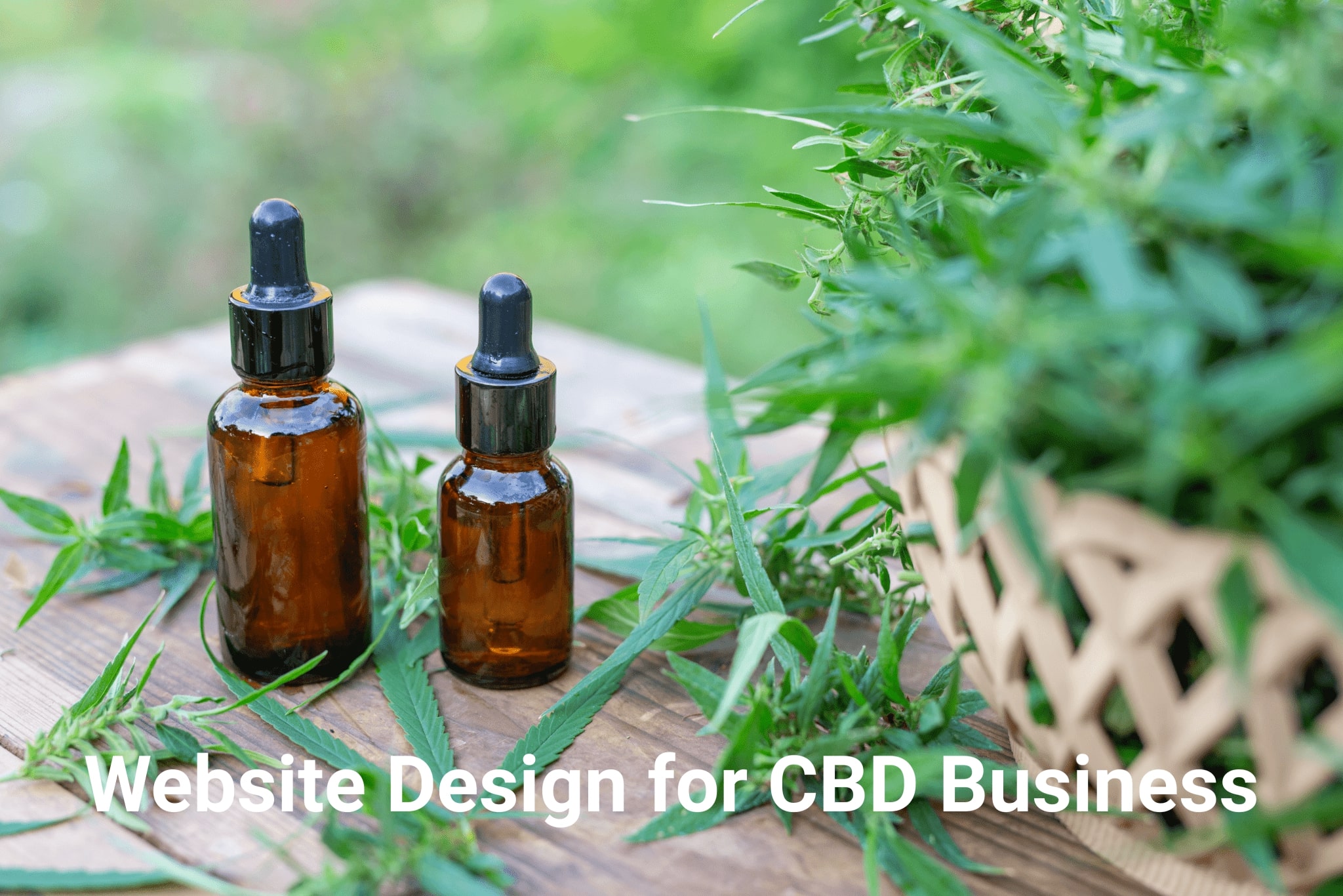5 Things to Pay Attention to when Developing and Designing the CBD Website