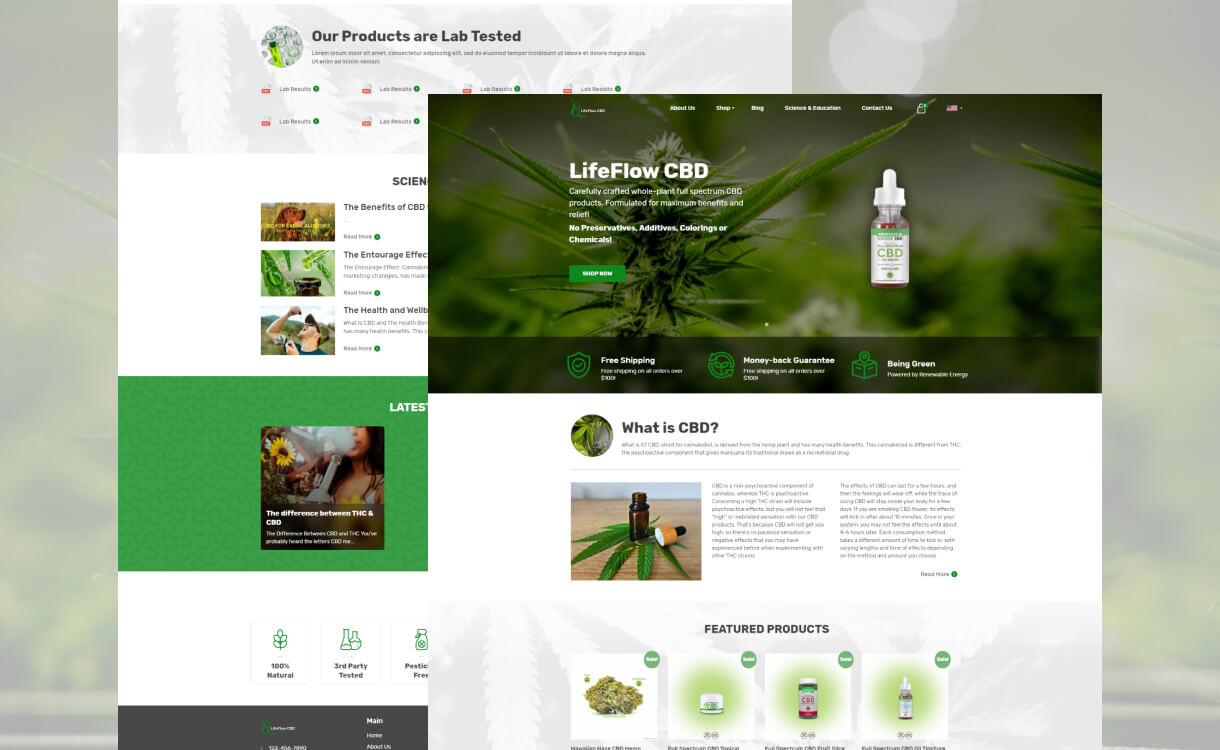 Life Flow CBD Cannabis Website Page Interface