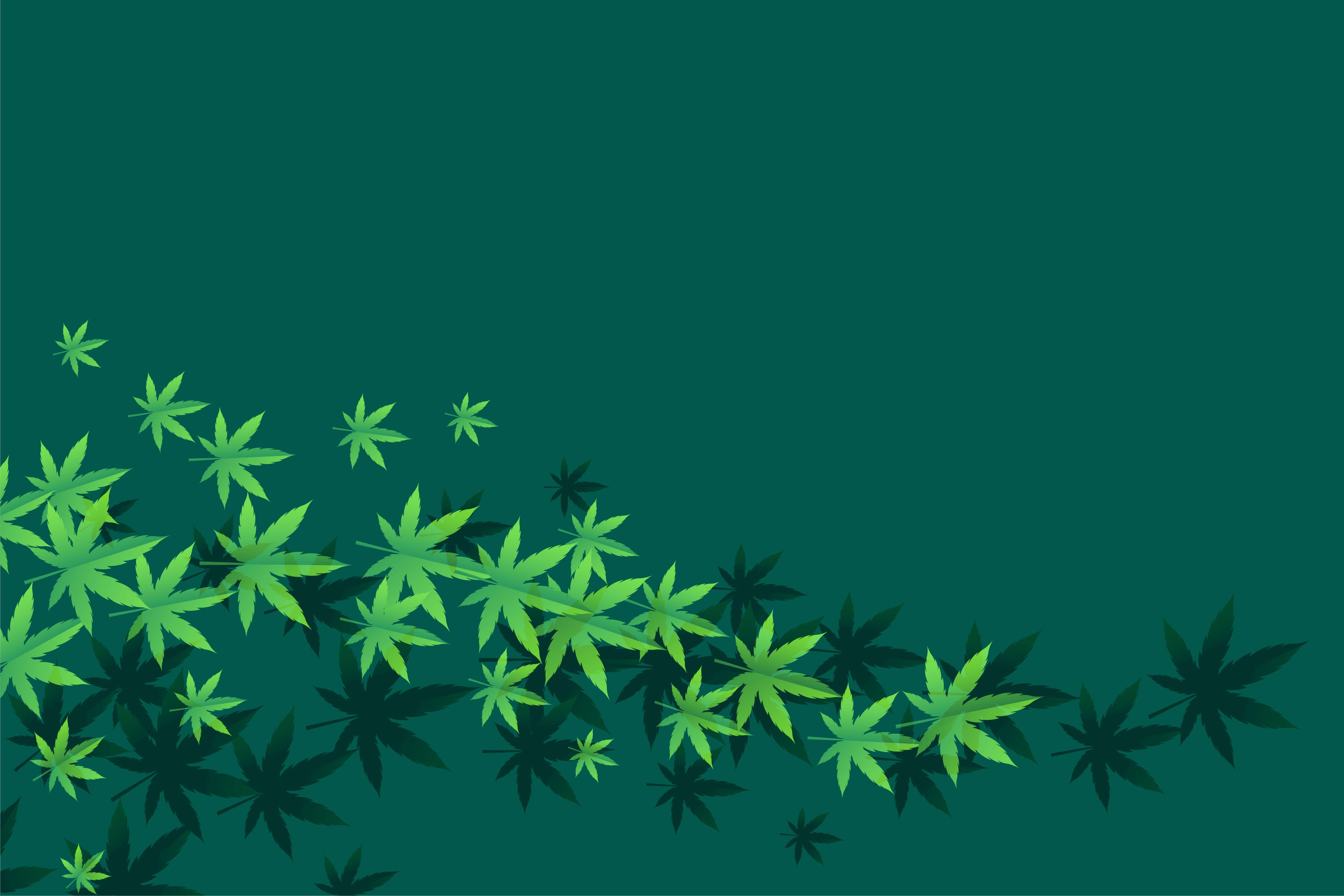 How to Create and Maintain a Medical Marijuana Marketplace