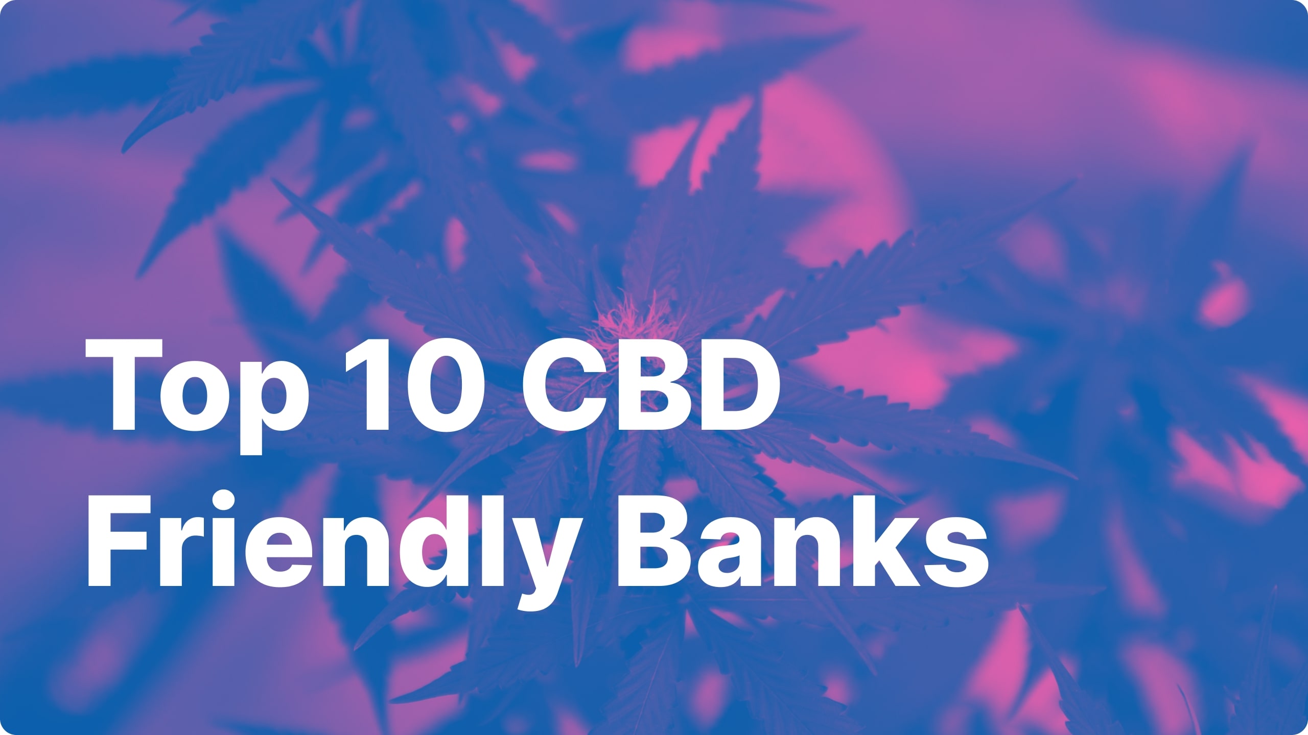Top  CBD Friendly Banks