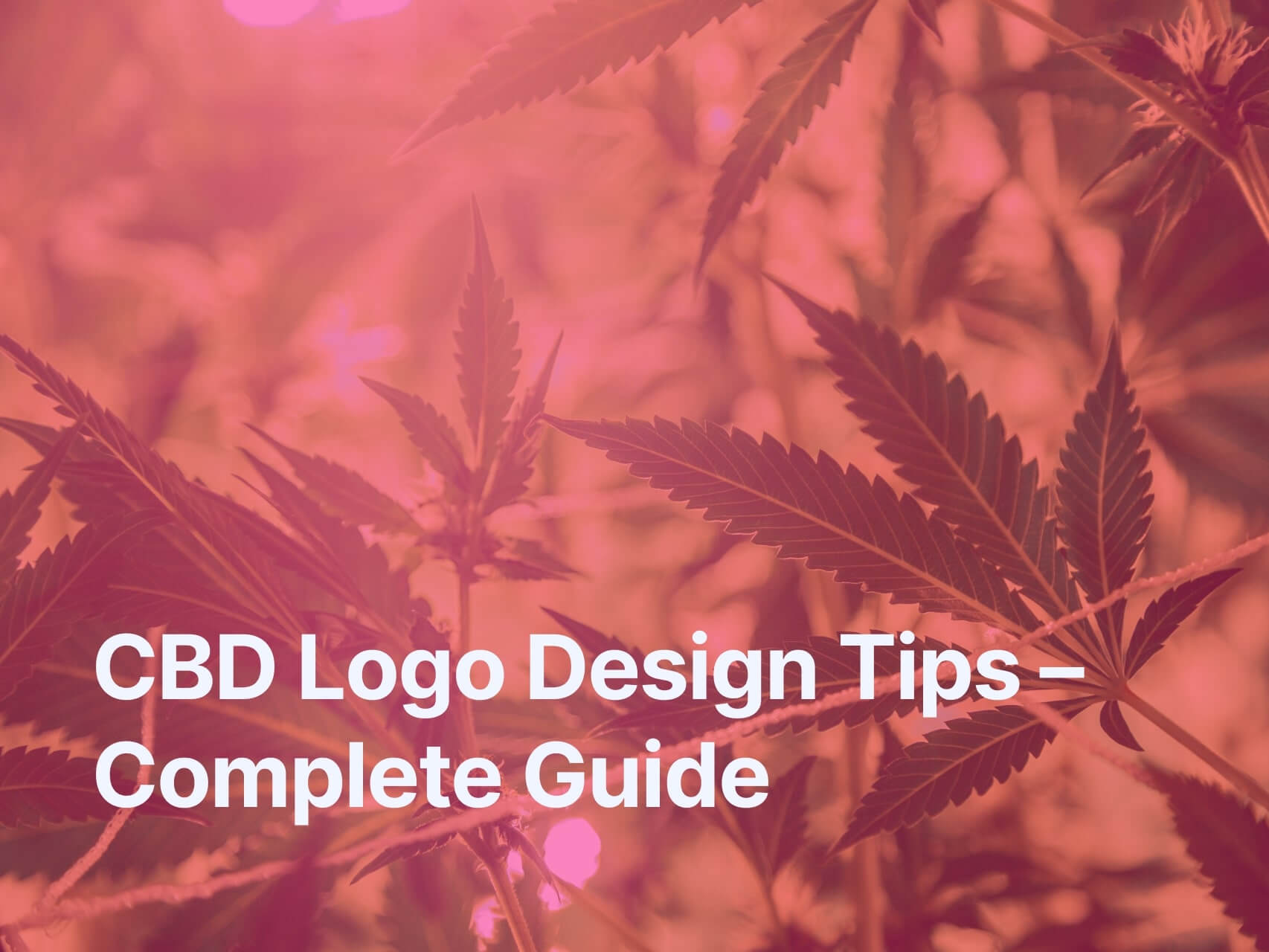 CBD Logo Design Tips – Complete Guide
