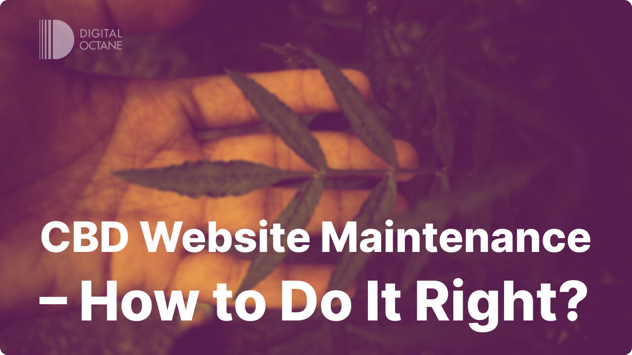CBD Website Maintenance – How to Do It Right?